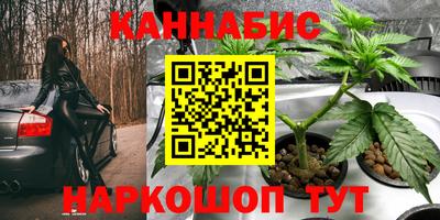тгк Лесосибирск