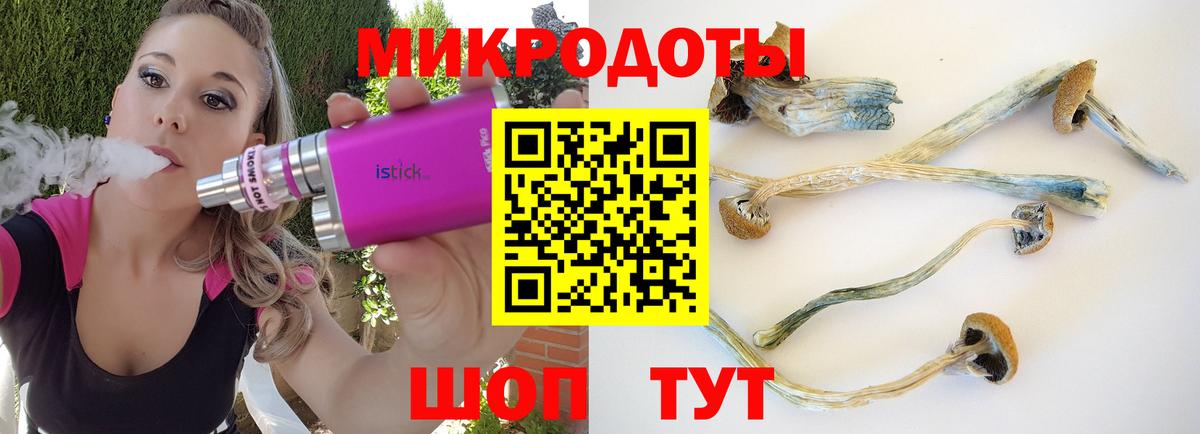 Тула  Галлюциногенные грибы Psilocybe  где можно купить   Псилоцибиновые грибы GOLDEN TEACHER  Вход с VPN 